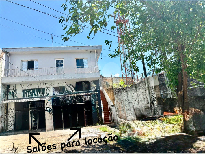 Foto REO1024817