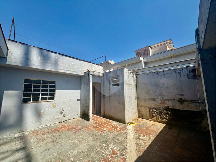 Foto REO1024817