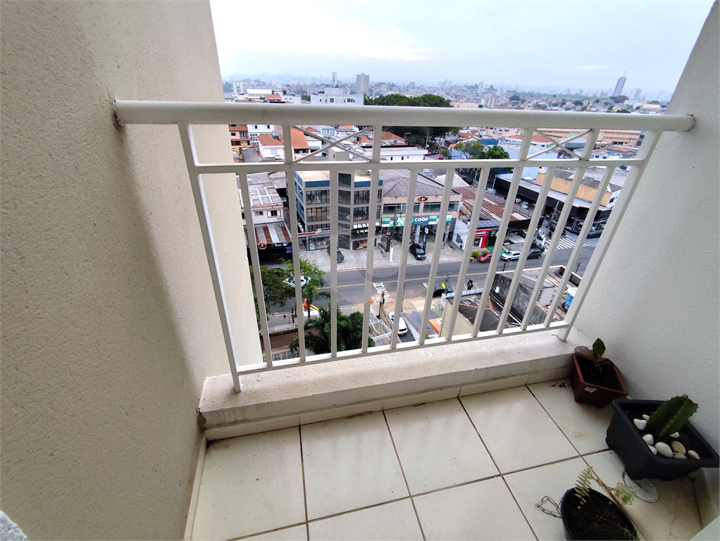 Aluguel Apartamento São Paulo Parque São Lucas REO1024882 12