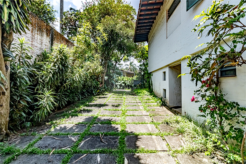 Foto REO1024906