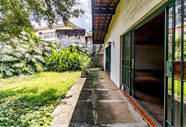 Foto REO1024906