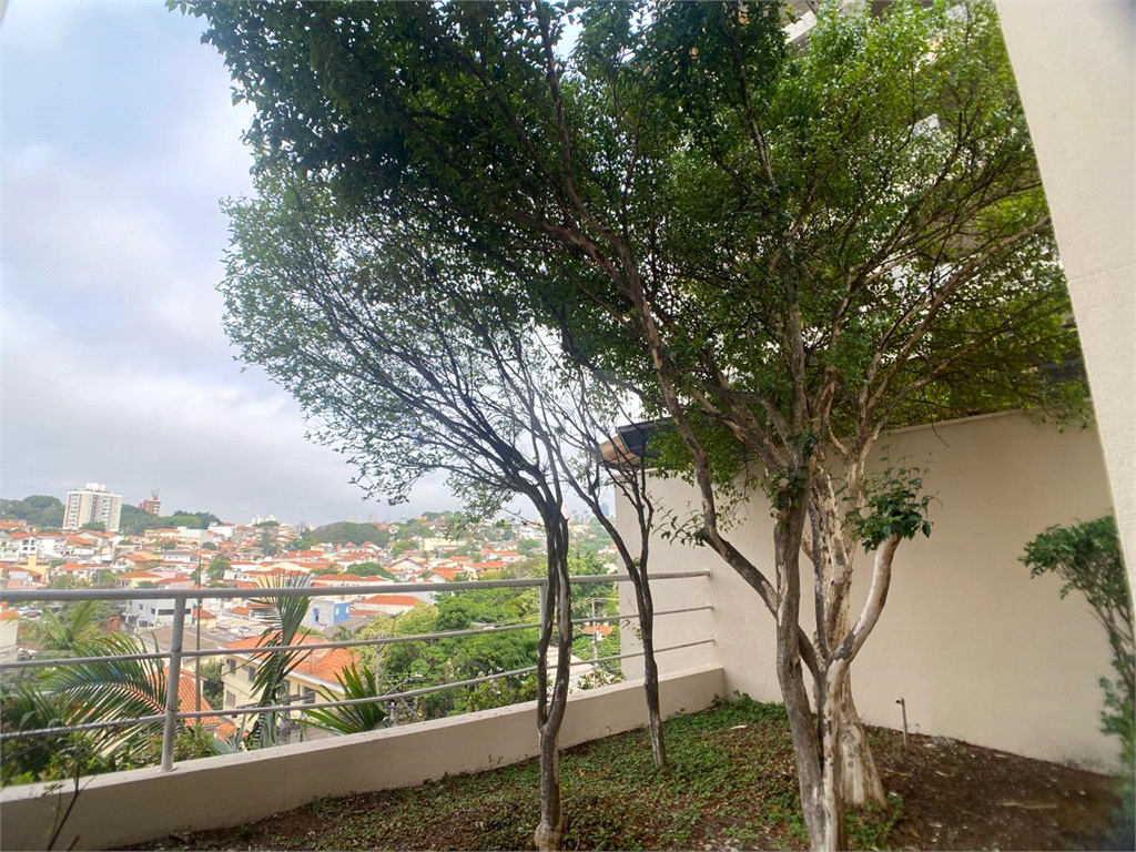 Aluguel Apartamento São Paulo Vila Ipojuca REO1024961 35