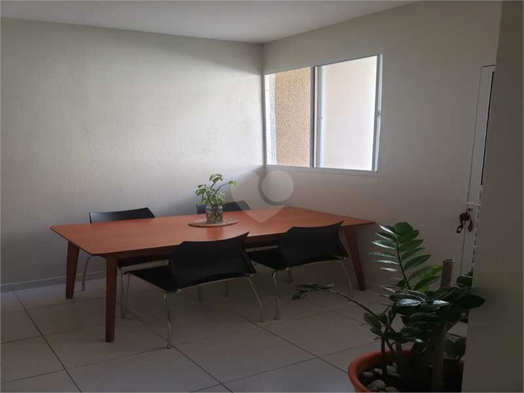 Aluguel Apartamento Indaiatuba Colinas De Indaiatuba REO1025099 2