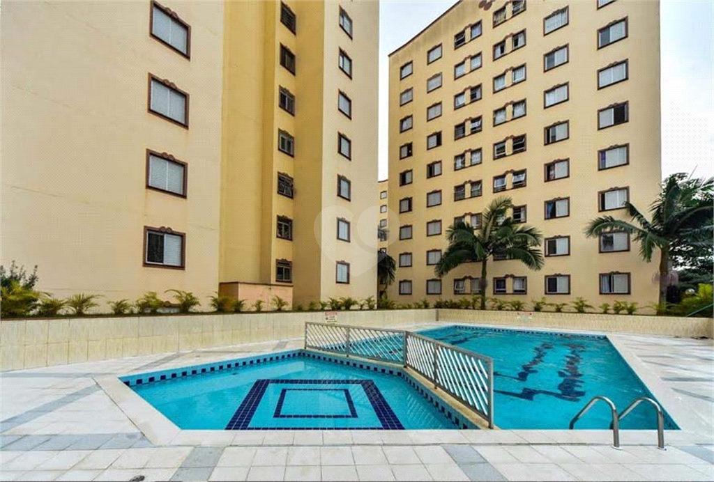 Aluguel Apartamento São Paulo Jardim Ângela (zona Leste) REO1025187 10