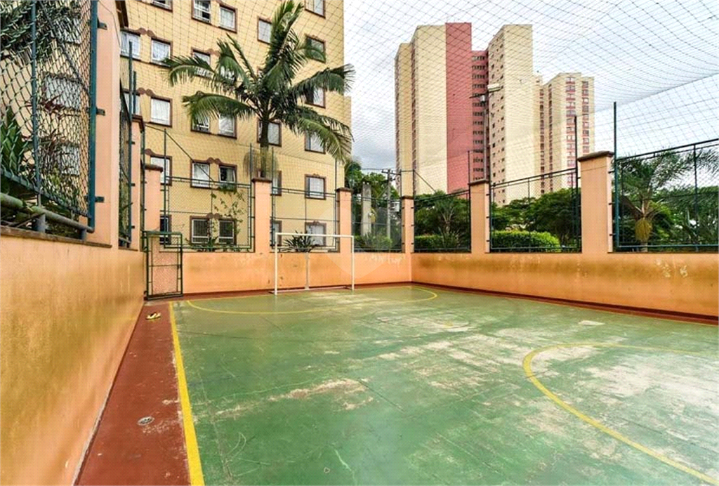 Aluguel Apartamento São Paulo Jardim Ângela (zona Leste) REO1025187 11