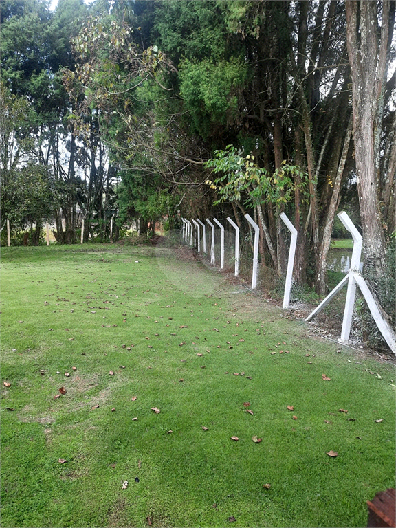 Venda Chácara Poços De Caldas Bortolan Sul REO1025214 10