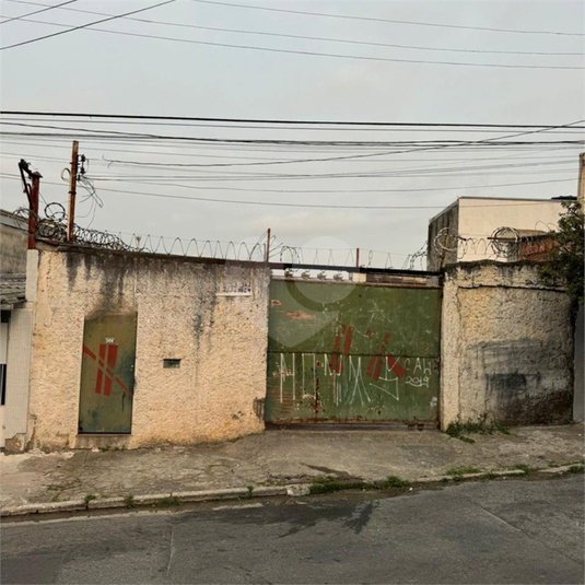 Foto REO1025254