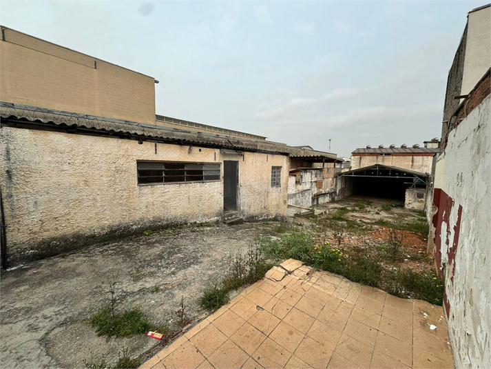 Foto REO1025254