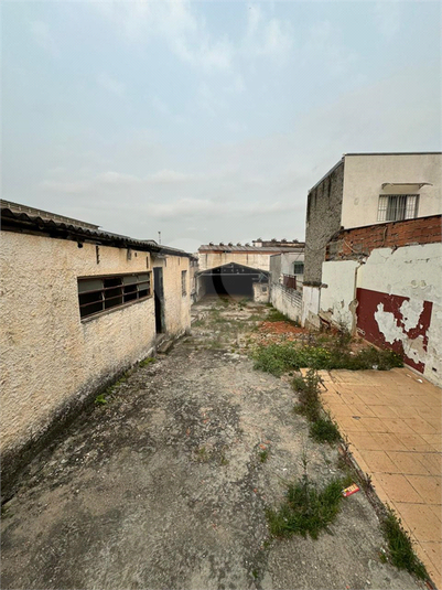 Foto REO1025254