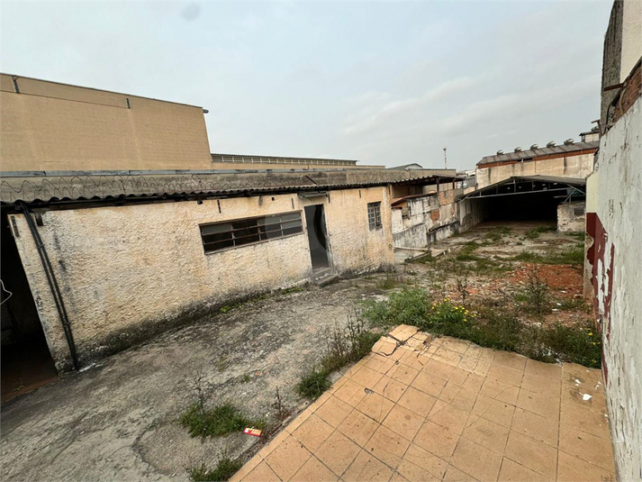 Foto REO1025254