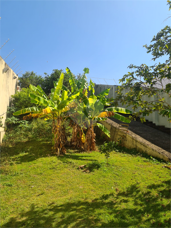 Venda Terreno Bauru Jardim América REO1025354 2