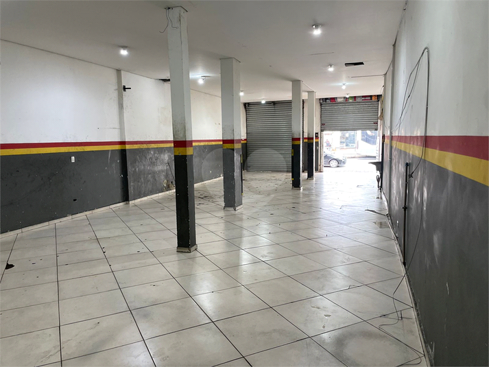 Foto REO1025450