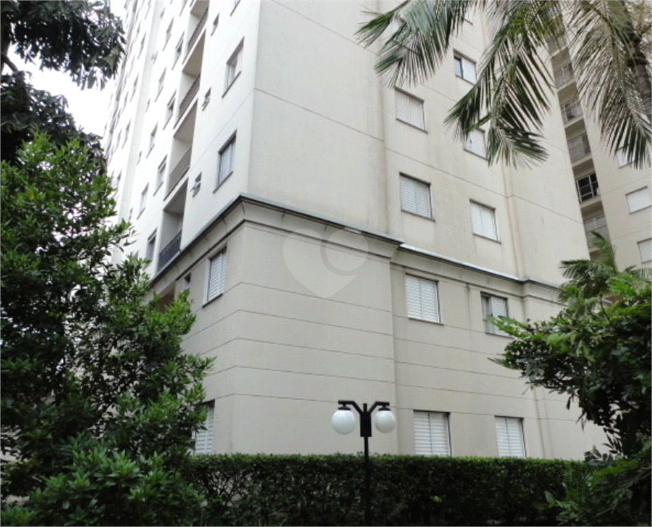 Venda Apartamento São Paulo Jardim Pinheiros REO1025480 4