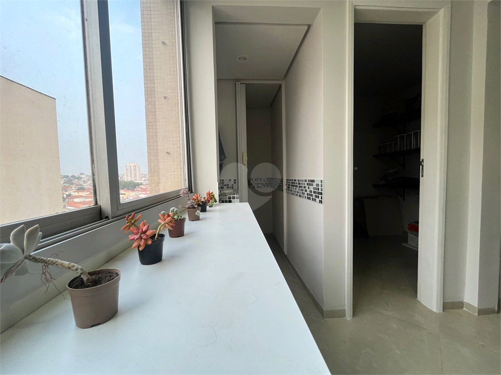 Venda Apartamento São Paulo Vila Paiva REO1025491 14