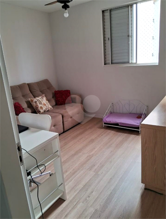 Venda Apartamento Campinas Jardim Chapadão REO1025504 6