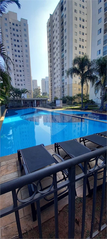 Aluguel Apartamento São Paulo Vila Moreira REO1025586 33