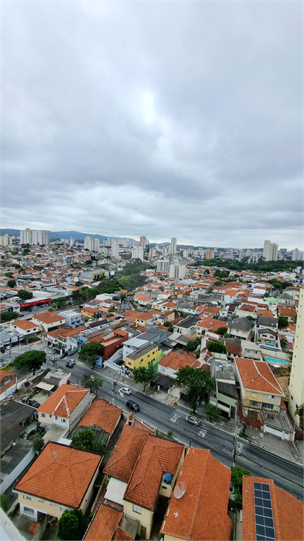 Aluguel Apartamento São Paulo Lauzane Paulista REO1025631 38