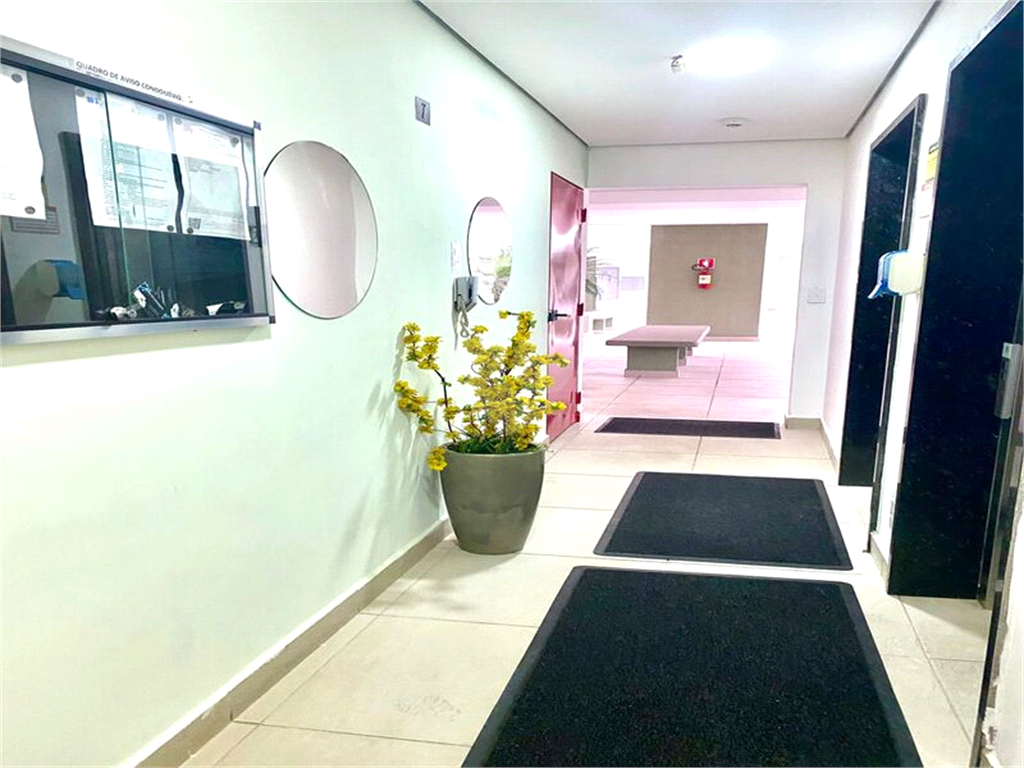 Aluguel Apartamento Santo André Vila Alto De Santo André REO1025667 6