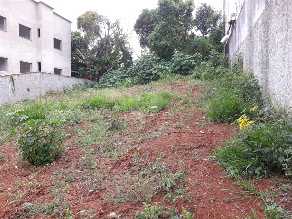 Venda Terreno São Roque Jardim Flórida REO1025687 9