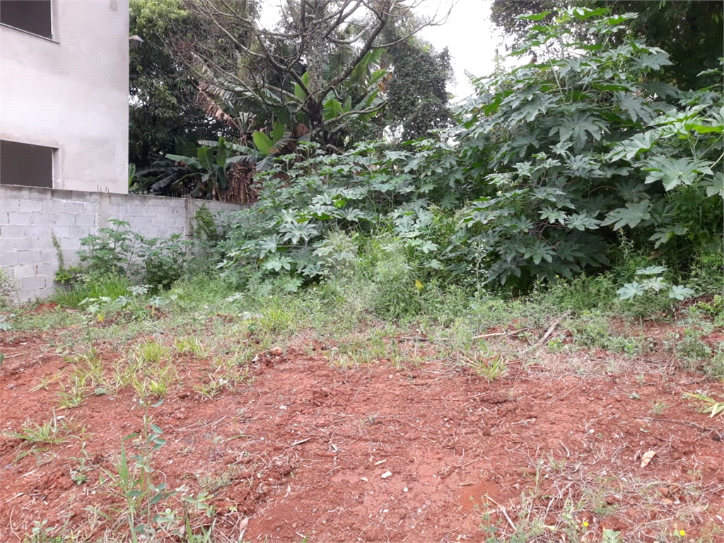 Venda Terreno São Roque Jardim Flórida REO1025687 10