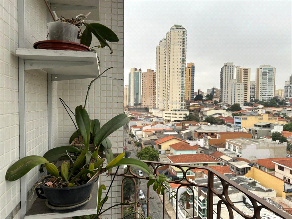 Venda Apartamento São Paulo Água Fria REO1025723 38