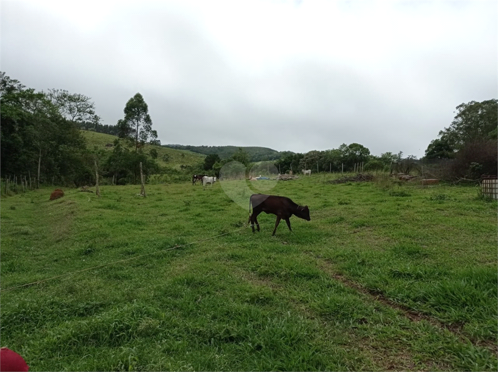 Venda Sítio São Miguel Arcanjo Gramadão REO1025951 17