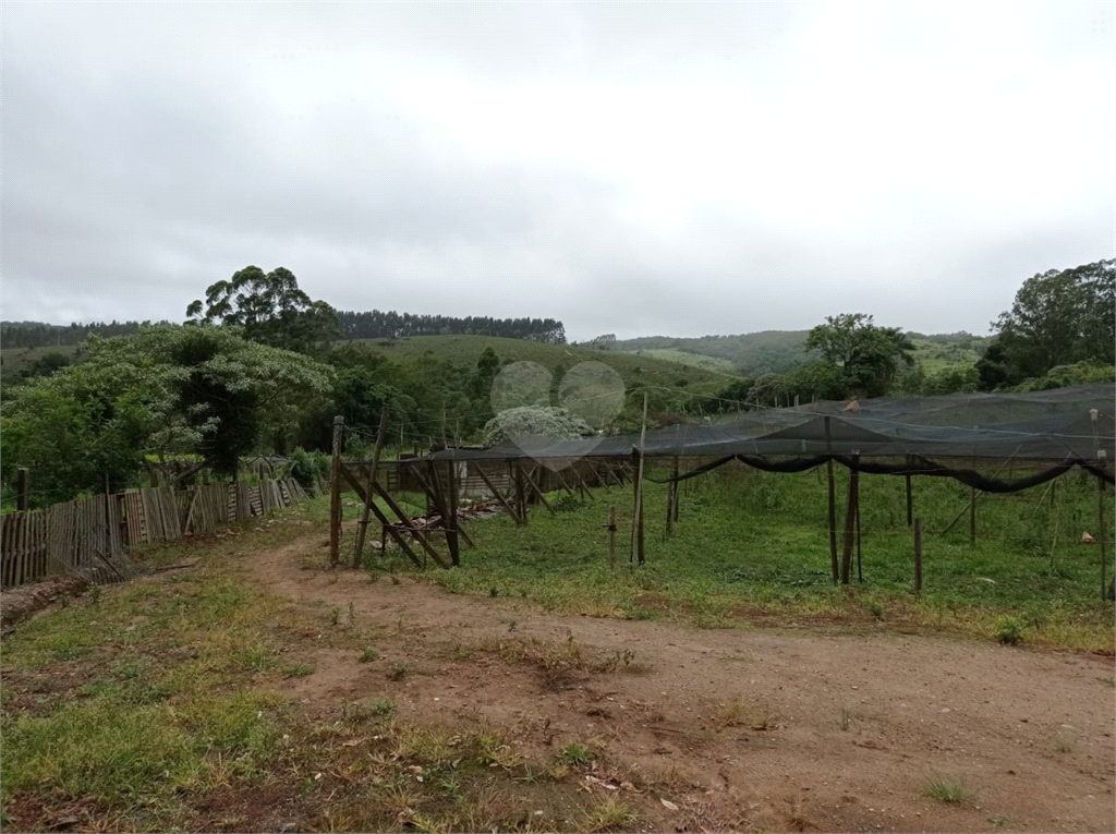 Venda Sítio São Miguel Arcanjo Gramadão REO1025951 15