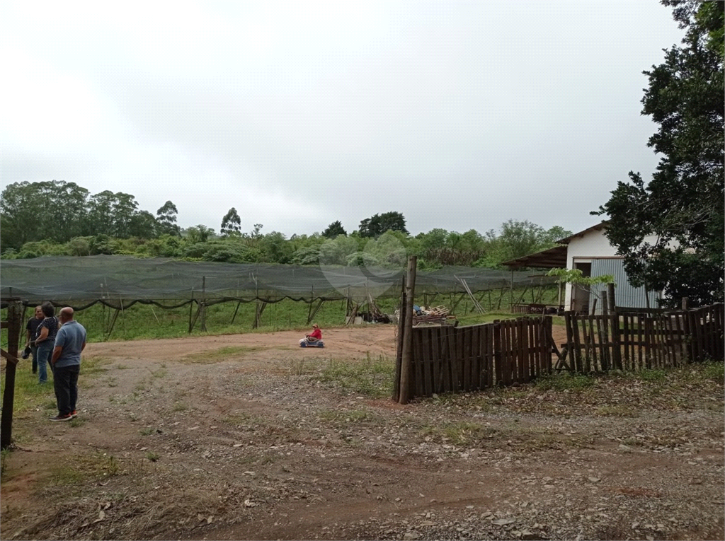 Venda Sítio São Miguel Arcanjo Gramadão REO1025951 13