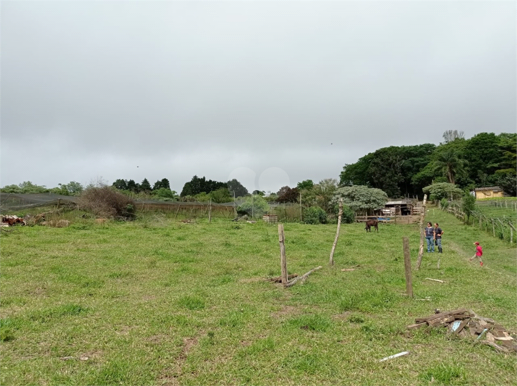 Venda Sítio São Miguel Arcanjo Gramadão REO1025951 20