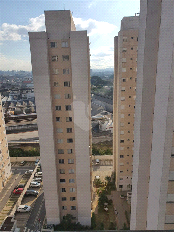 Venda Apartamento São Paulo Brás REO1025988 14