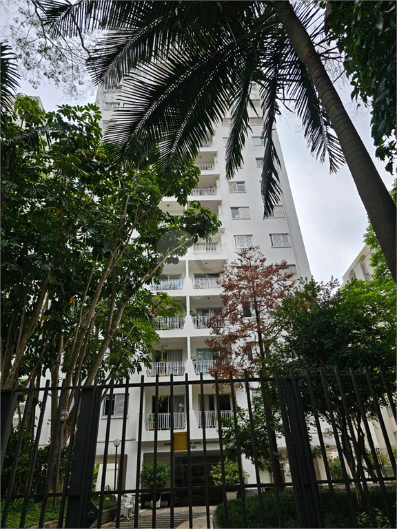 Venda Apartamento São Paulo Santo Amaro REO1026174 32