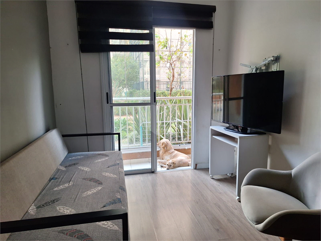 Venda Apartamento São Paulo Jardim América Da Penha REO1026231 1