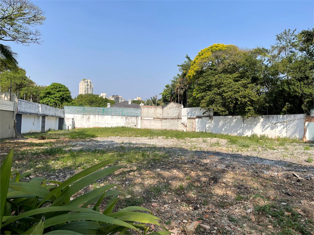 Venda Terreno São Paulo Vila Brasilândia REO1026364 5