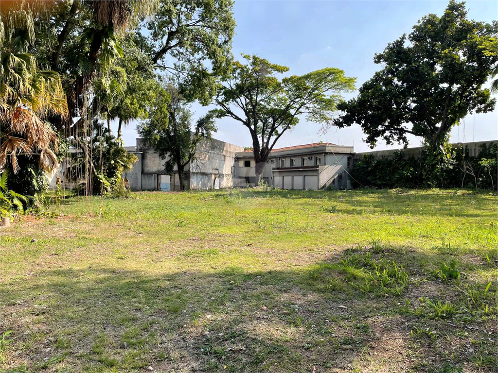 Venda Terreno São Paulo Vila Brasilândia REO1026364 4