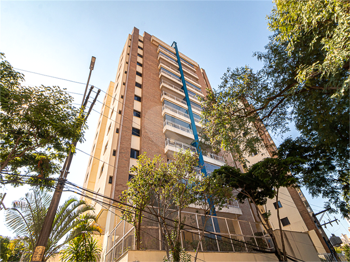 Foto REO1026417