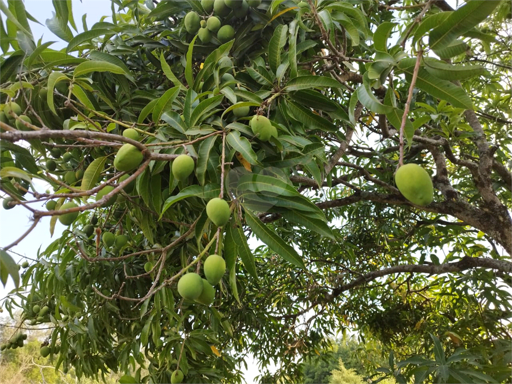 Venda Loteamento Salto Condomínio Fechado Village Haras São Luiz REO1026841 19