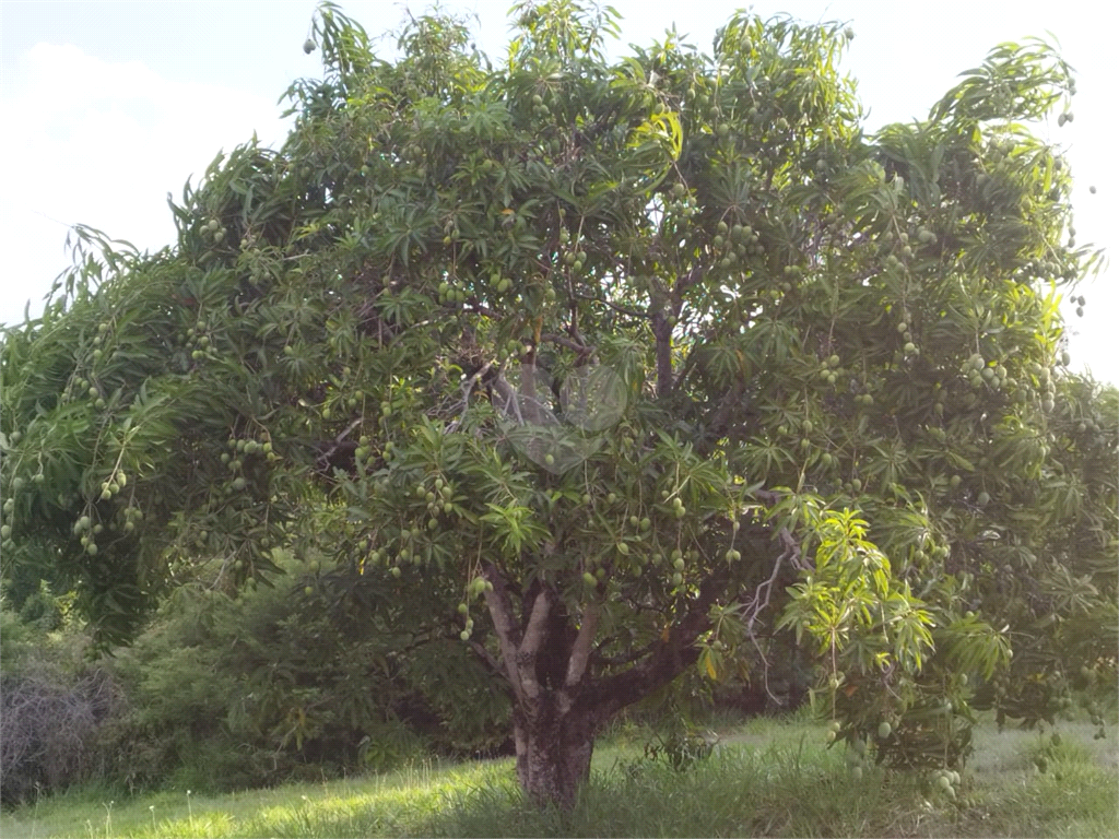 Venda Loteamento Salto Condomínio Fechado Village Haras São Luiz REO1026841 15