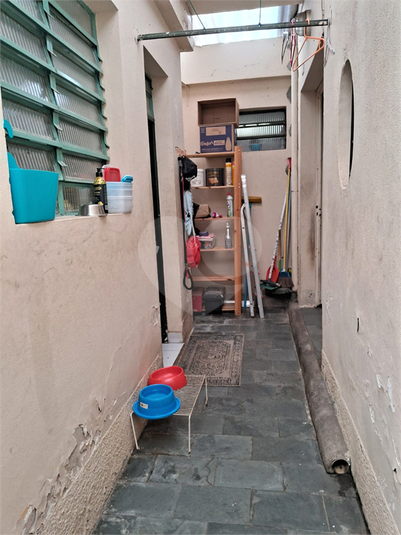 Foto REO1026882