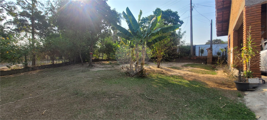 Foto REO1026929