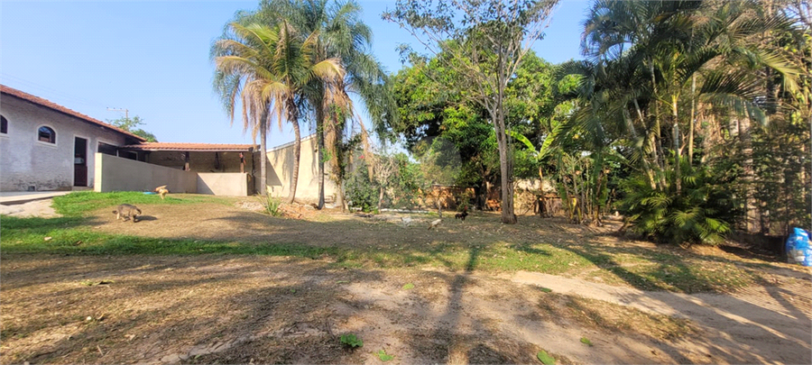 Foto REO1026929