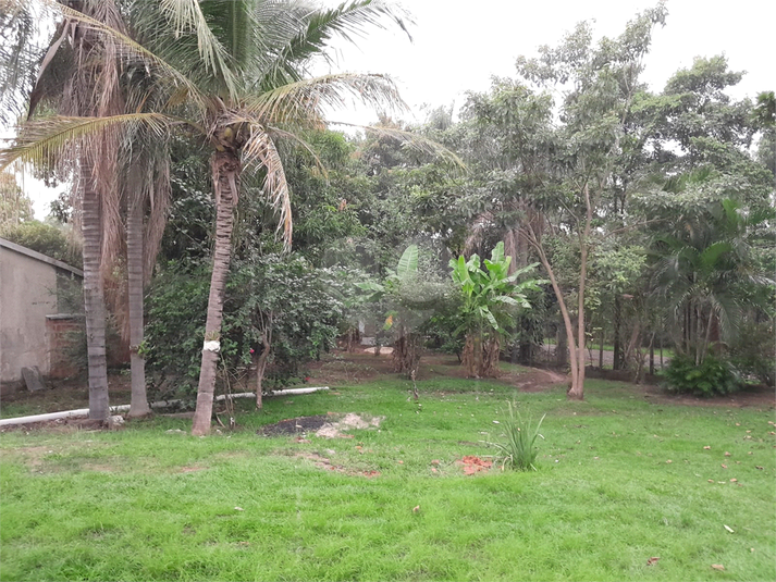 Foto REO1026929