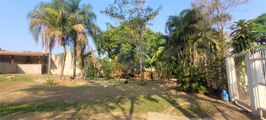 Foto REO1026929