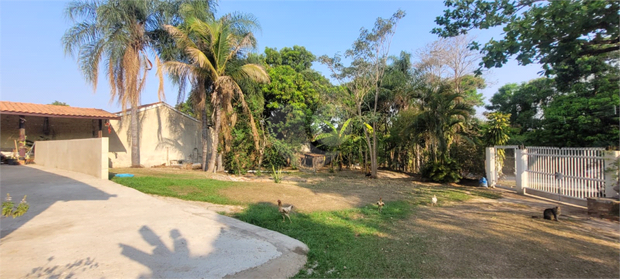 Foto REO1026929