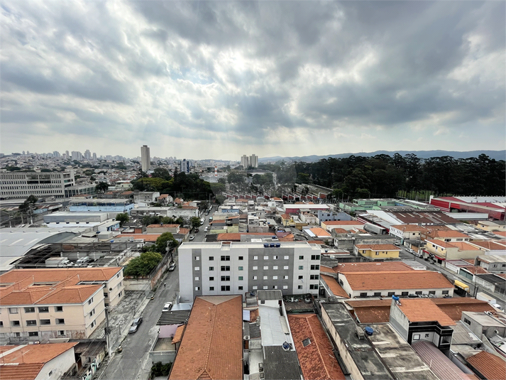 Vista 