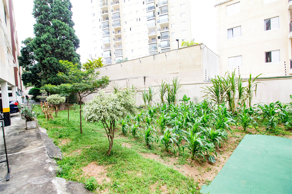 Venda Apartamento Guarulhos Picanço REO1027109 30