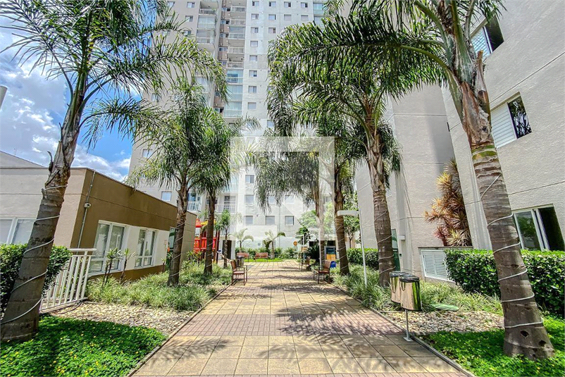 Venda Apartamento São Paulo Quinta Da Paineira REO1027141 2