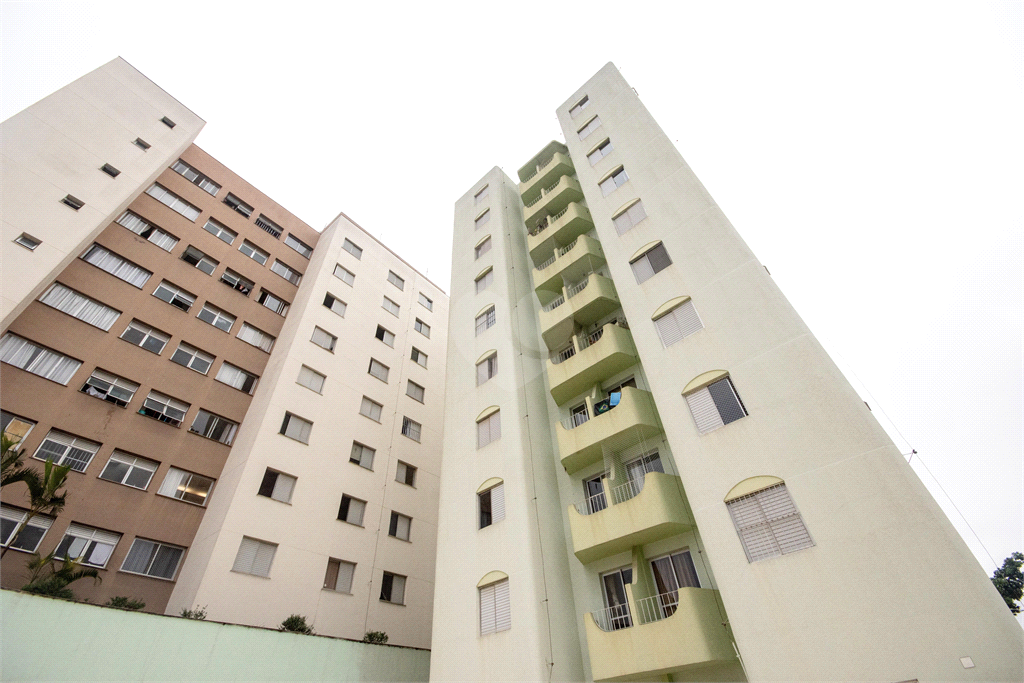 Venda Apartamento São Paulo Vila Mazzei REO1027146 38