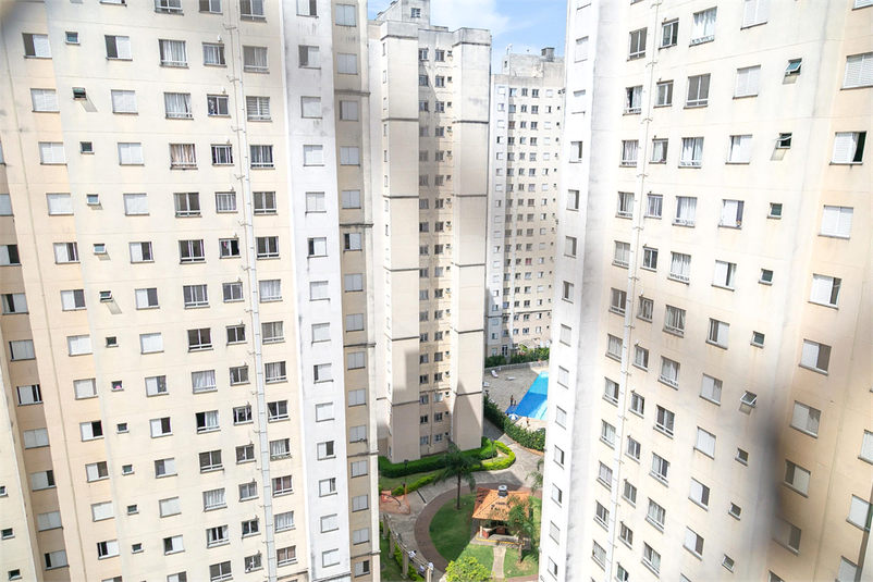 Foto REO1027241
