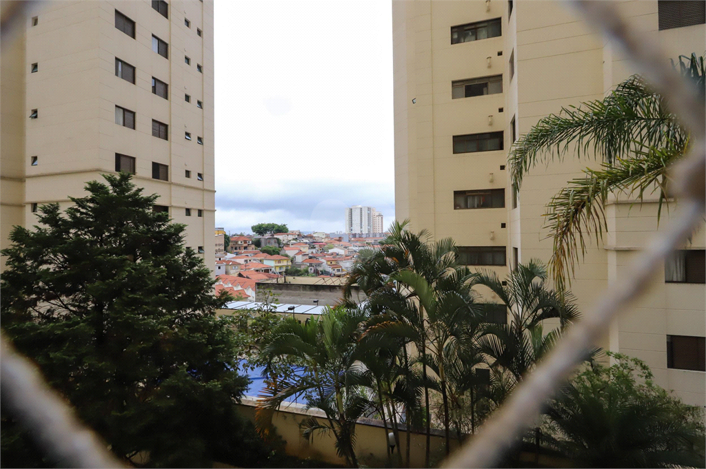 Venda Apartamento São Paulo Santa Teresinha REO1027249 10