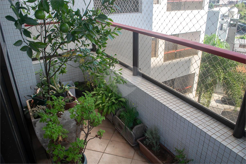 Foto REO1027294